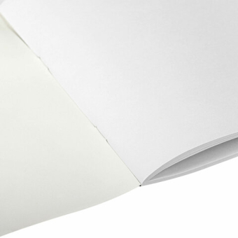 картинка Альбом для рисования А4, 24 листа, скоба, обложка офсет, ПИФАГОР, 203х288 мм, "КАПИБАРА" (2 вида), 107104 от магазина МОЛТИ