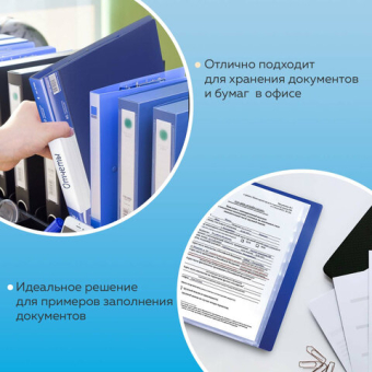 картинка Папка 40 вкладышей BRAUBERG стандарт, синяя, 0,7 мм, 221603 от магазина МОЛТИ