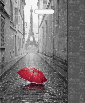 картинка ПР 38х45 60мкм Ламинат "Мой Париж" 500/пак от магазина МОЛТИ