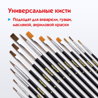 картинка Кисти ПИФАГОР, набор 15 шт. (ПОНИ - 9 шт., СИНТЕТИКА - 4 шт., ЩЕТИНА - 2 шт., круглые, плоские), блистер, 200504 от магазина МОЛТИ