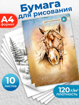 картинка Папка для рисования А4, 10л. ЛОШАДЬ (10-1103) цветная обл. вн.блок 120г/м2 от магазина МОЛТИ