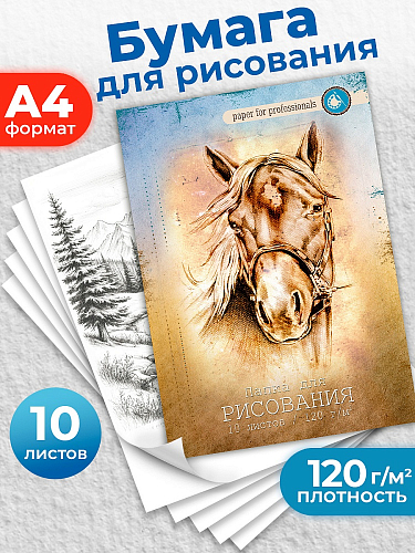 Папка для рисования А4, 10л. ЛОШАДЬ (10-1103) цветная обл. вн.блок 120г/м2