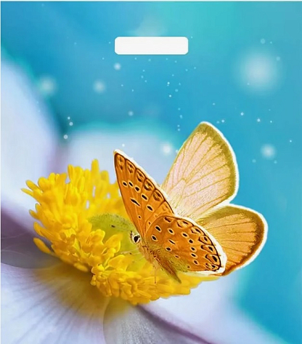 ПР 38х45 60мкм "Мгновения"  Глян 500/пак