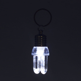 картинка Брелоки  1512-38 Лампочка LED  6х2,5см.. пластик  от магазина МОЛТИ