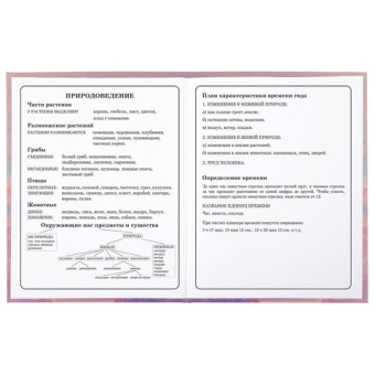 картинка Дневник 1-4 класс 48 л., гибкая обложка, ЮНЛАНДИЯ, выборочный лак, с подсказом, "FairyTale", 106818 от магазина МОЛТИ