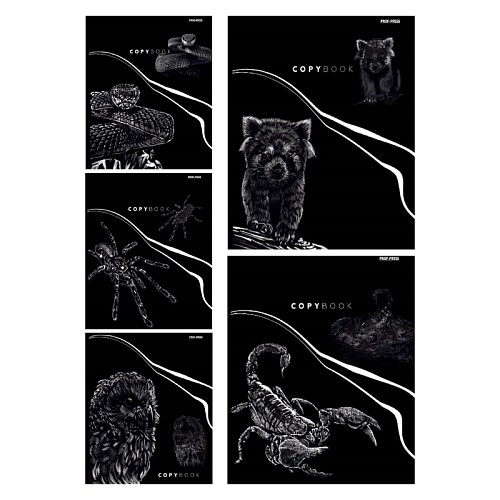 Тетрадь КЛЕТКА 96л. BLACKSOFT (96-7241) (твин-лак, цвет.мелов.обл.)