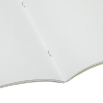 картинка Альбом для рисования, А4, 40 листов, скоба, обложка картон, BRAUBERG, 200х283 мм, "Благородные кони" (2 вида), 103728 от магазина МОЛТИ