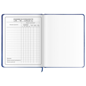 картинка Дневник 1-4 класс 48 л., кожзам (твердая с поролоном), печать, аппликация, ЮНЛАНДИЯ, "Гонка!", 106214 от магазина МОЛТИ