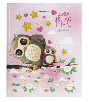 картинка Дневник 1-11 класс 48л, твердый, BRAUBERG, глянцевая ламинация, с подсказом, Совушка, 106601 от магазина МОЛТИ