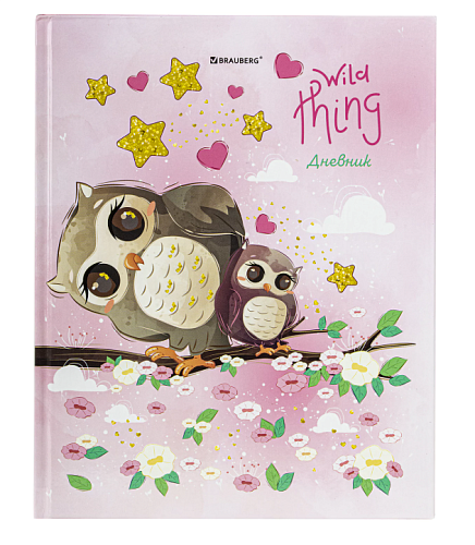Дневник 1-11 класс 48л, твердый, BRAUBERG, глянцевая ламинация, с подсказом, Совушка, 106601