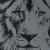 картинка Гр-764 Скретчинг 30*40см Животные "Гордый лев" от магазина МОЛТИ