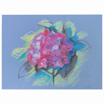 картинка Пастель сухая художественная BRAUBERG ART CLASSIC, 12 цветов, круглое сечение, 181453 от магазина МОЛТИ