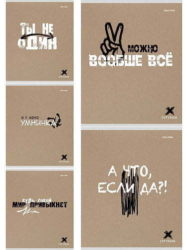 Тетрадь КЛЕТКА 48л. МОТИВИРУЮЩИЕ ФРАЗЫ (48-6067) цветная мелованная обложка
