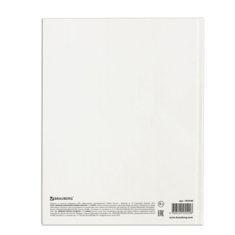 картинка Дневник 1-11 класс 40 л., твердый, BRAUBERG, матовая ламинация, БЕЛЫЙ, 105540 от магазина МОЛТИ