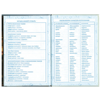 картинка Дневник для музыкальной школы 140х210 мм, 48 л., твердый, BRAUBERG, выборочный лак, справочный материал, "Симфония", 103601 от магазина МОЛТИ