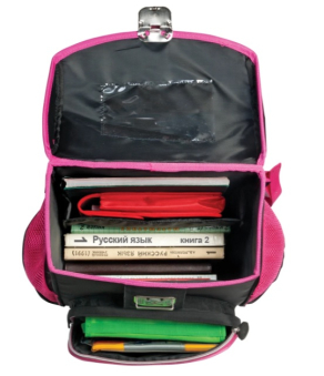 картинка Ранец жесткокаркасный BRAUBERG для начальной школы, девочка, Цветы, 20 литров, 35*27*16 см, 225418 от магазина МОЛТИ