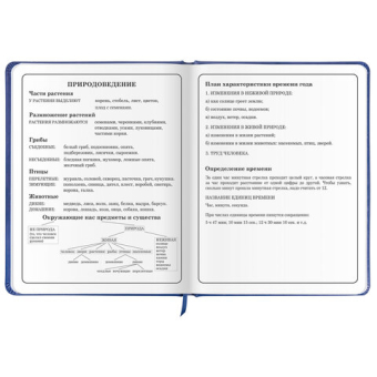 картинка Дневник 1-4 класс 48 л., кожзам (твердая с поролоном), печать, аппликация, ЮНЛАНДИЯ, "Гонка!", 106214 от магазина МОЛТИ