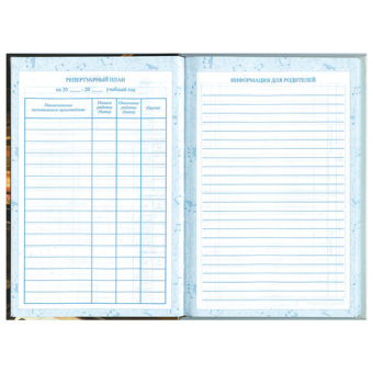 картинка Дневник для музыкальной школы 140х210 мм, 48 л., твердый, BRAUBERG, выборочный лак, справочный материал, "Симфония", 103601 от магазина МОЛТИ