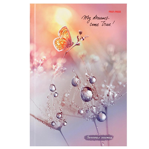 Записная книжка А5 80л. КАПЛИ РОСЫ (80-6771) 7БЦ твин лак