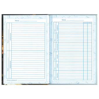 картинка Дневник для музыкальной школы 140х210 мм, 48 л., твердый, BRAUBERG, выборочный лак, справочный материал, "Симфония", 103601 от магазина МОЛТИ