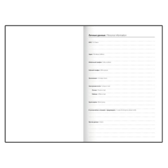 картинка Ежедневник датированный 2026 145х215 мм, А5, STAFF, ламинированная обложка, "Символика РФ", 117314 от магазина МОЛТИ