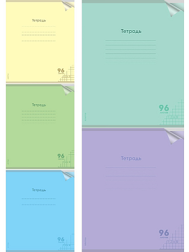 Тетрадь КЛЕТКА 96л. проз.пласт.обл. plastic cover КЛАССИКА NEW (96-1429) ассорти 5 цветов