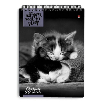 картинка Блокнот А5, 40 л., гребень, ламинированный картон, клетка, Альт, "Кошки", (5 видов), 3-40-462 от магазина МОЛТИ