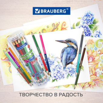 картинка Карандаши цветные двусторонние BRAUBERG PREMIUM TWIN COLOUR, 24 шт., 48 цв., туба, шестигранные, грифель 3,3 мм, натуральное дерево, 181876 от магазина МОЛТИ