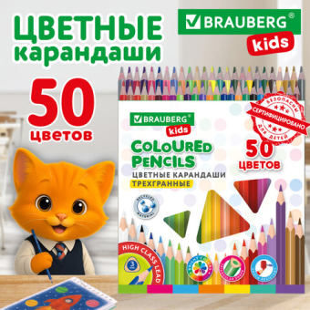 картинка Карандаши цветные BRAUBERG KIDS NEW, 50 цветов, трехгранные, грифель 3 мм, 182004 от магазина МОЛТИ