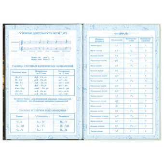 картинка Дневник для музыкальной школы 140х210 мм, 48 л., твердый, BRAUBERG, выборочный лак, справочный материал, "Симфония", 103601 от магазина МОЛТИ