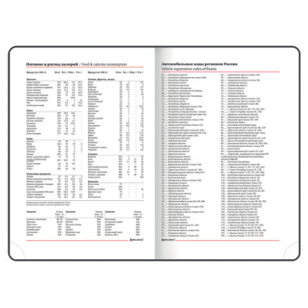 картинка Ежедневник недатированный B6 (127х186 мм), BRAUBERG VISTA, под кожу, гибкий, 136 л., "Spirit", 112117 от магазина МОЛТИ