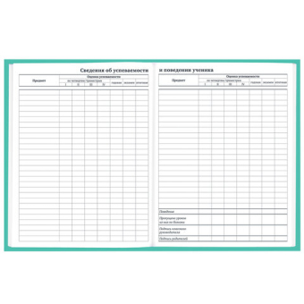 картинка Дневник 1-11 класс 40 л., твердый, BRAUBERG, матовая ламинация, АССОРТИ, 107165 от магазина МОЛТИ