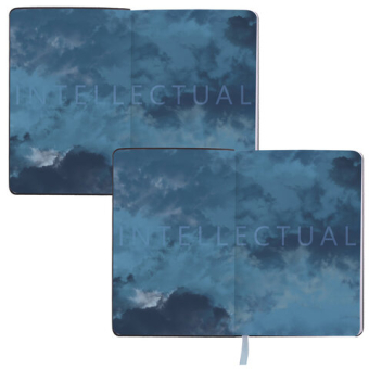 картинка Ежедневник недатированный B6 (127х186 мм), BRAUBERG VISTA, под кожу, гибкий, 136 л., "Spirit", 112117 от магазина МОЛТИ