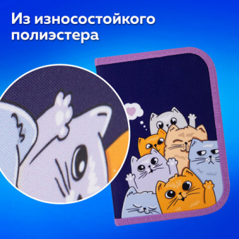 картинка Пенал ПИФАГОР, 1 отделение, 1 откидная планка, полиэстер, 19х13 см, "Cats greetings", 272291 от магазина МОЛТИ